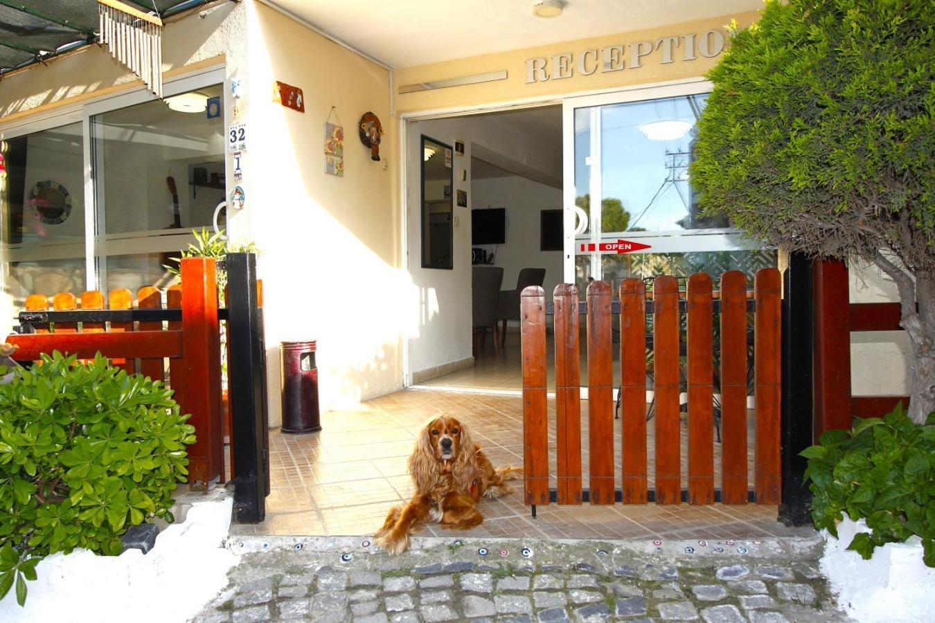 Bonapart Hotel Çeşme Εξωτερικό φωτογραφία
