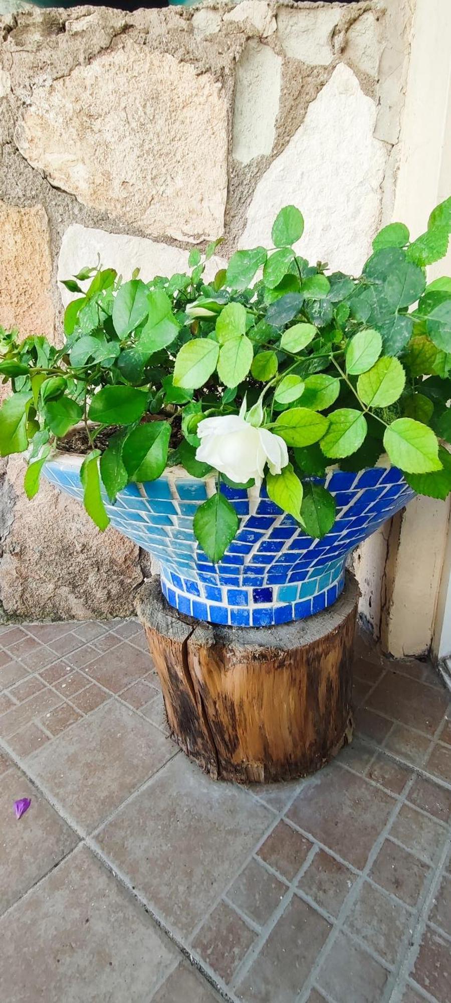 Bonapart Hotel Çeşme Εξωτερικό φωτογραφία